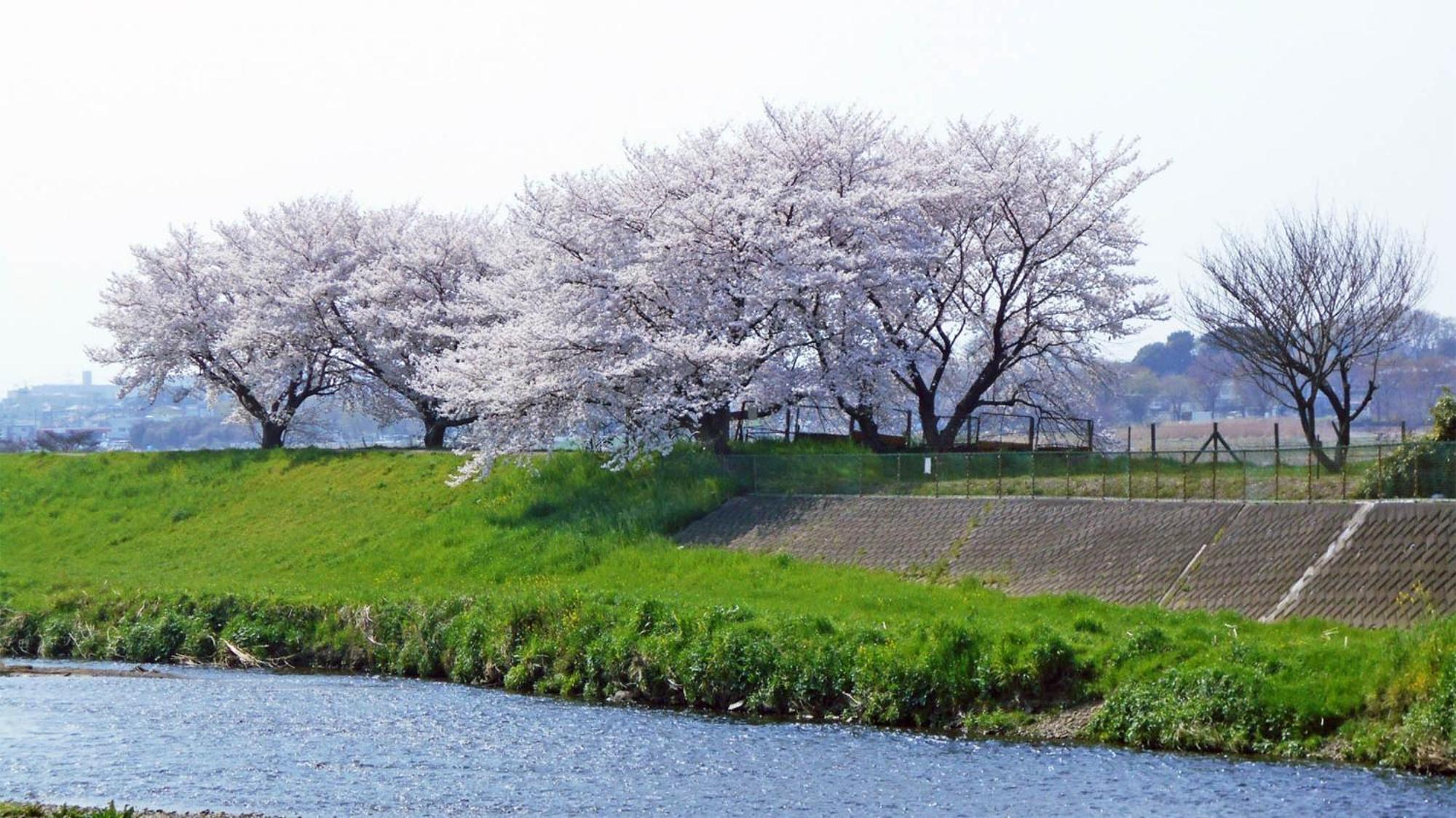 Toyoko Inn Shiki Eki Higashi Guchi Eksteriør bilde